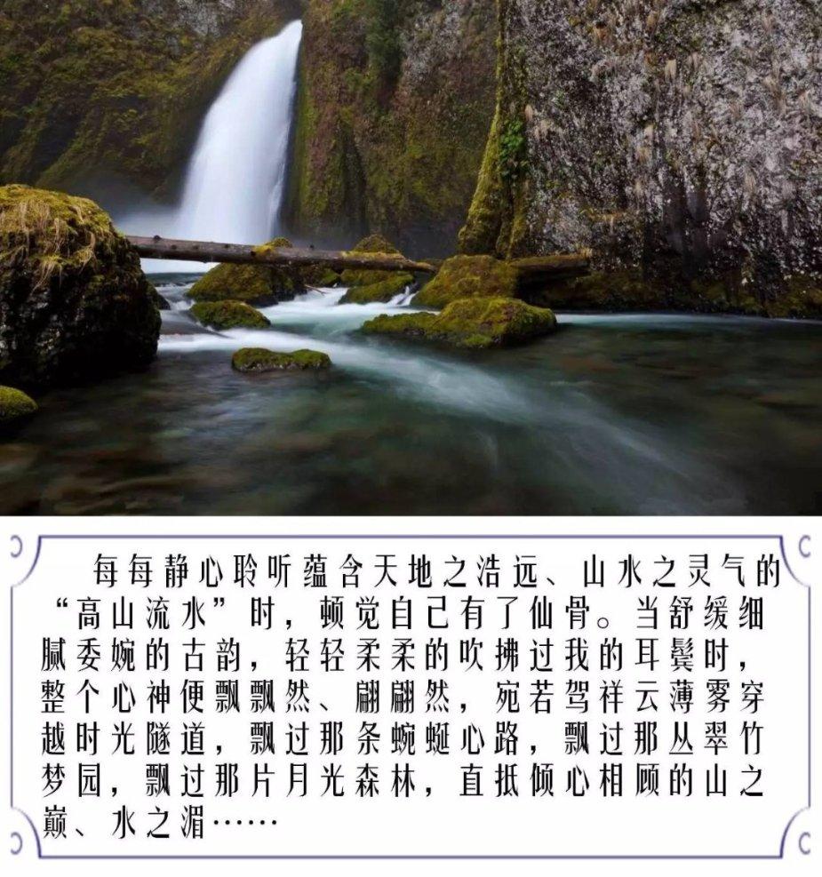 逃出林中村
