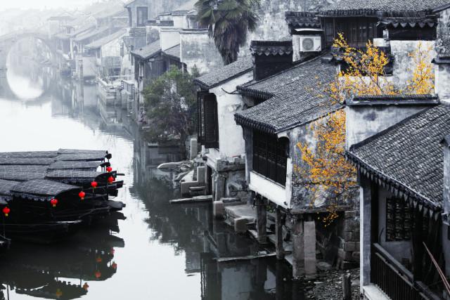 救援卷耳兔